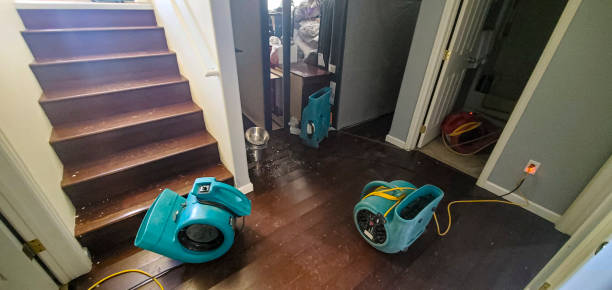 Best Carpet water damage restoration  in Cary, NC