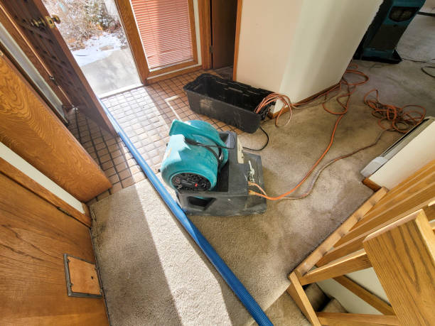 Best Mold removal after water damage  in Cary, NC