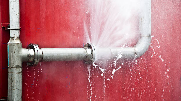 Best Basement water damage restoration  in Cary, NC
